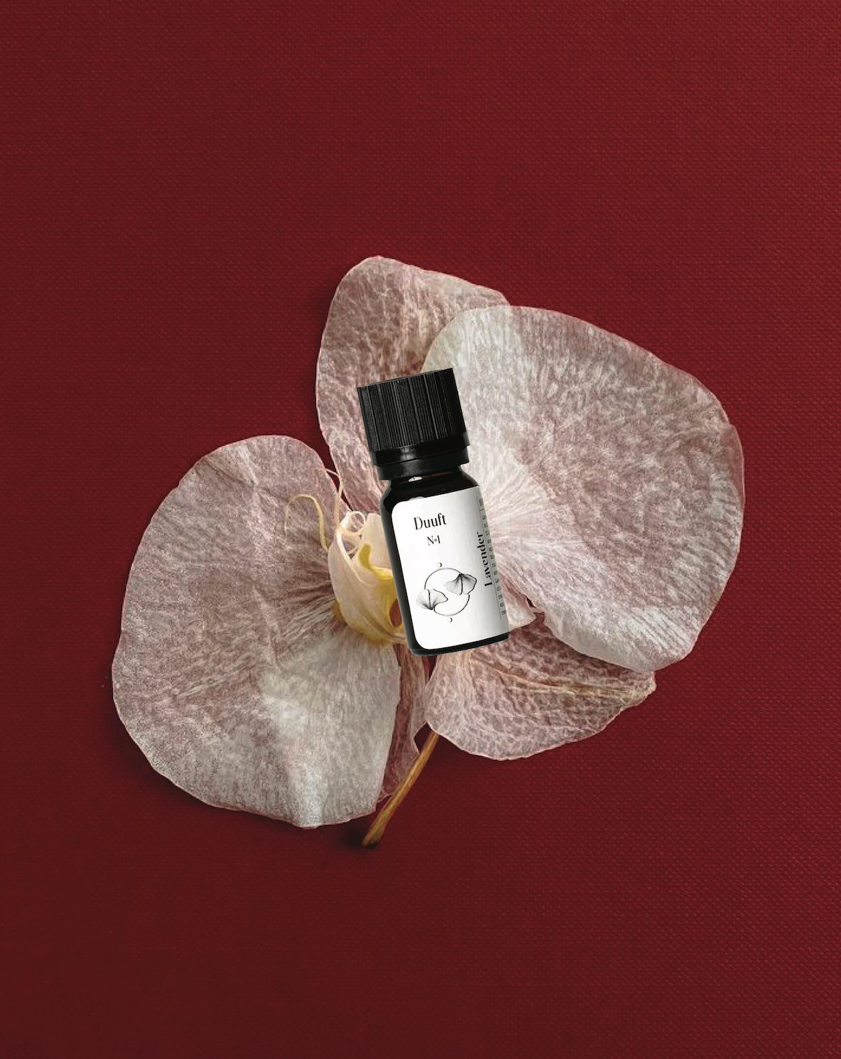 Lavendelolje - Eterisk Olje (10 ml)